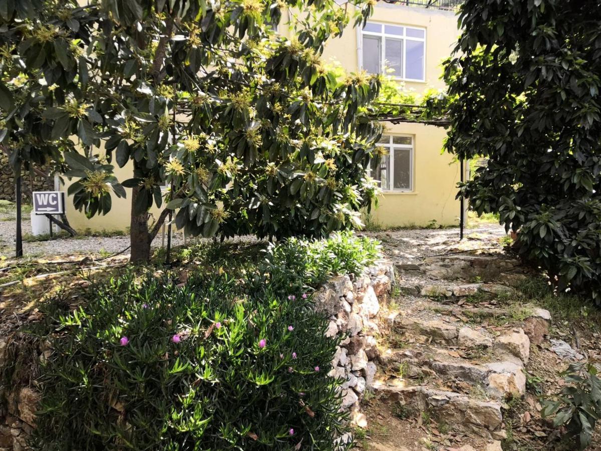 Zeytinada Pansiyon Ve Goezleme Guneykoy 외부 사진