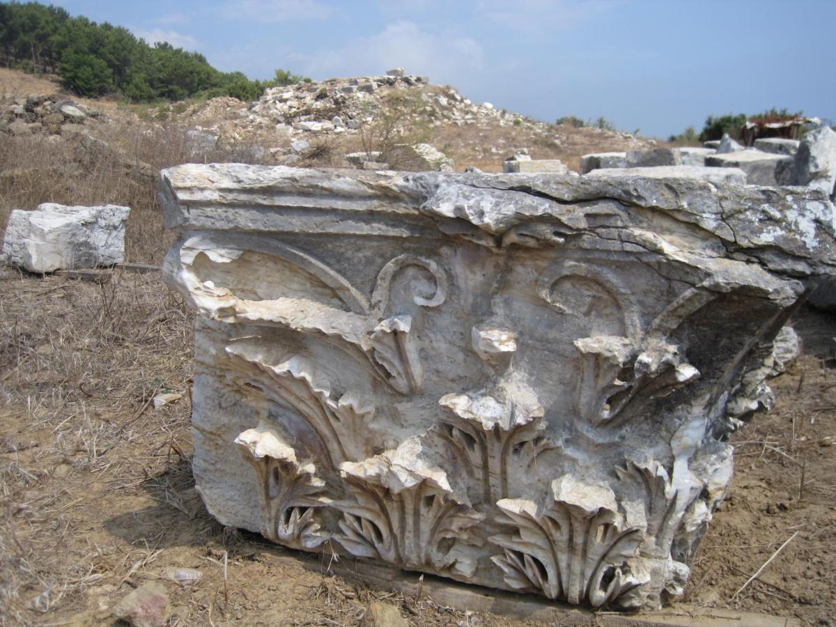 Zeytinada Pansiyon Ve Goezleme Guneykoy 외부 사진