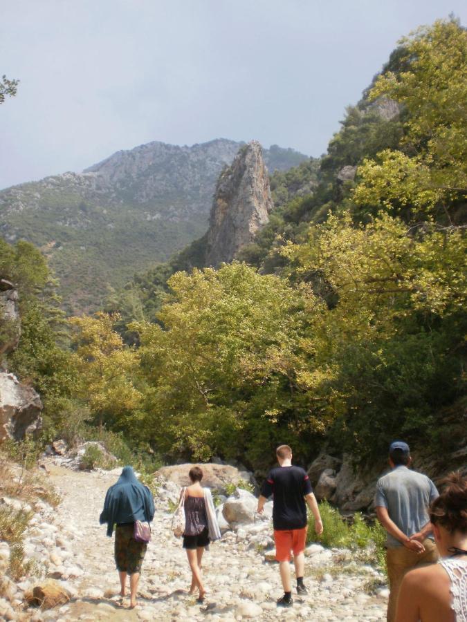 Zeytinada Pansiyon Ve Goezleme Guneykoy 외부 사진