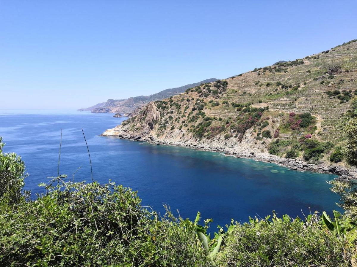 Zeytinada Pansiyon Ve Goezleme Guneykoy 외부 사진